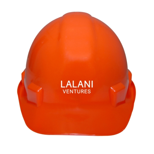 Lalani Ventures construction hat