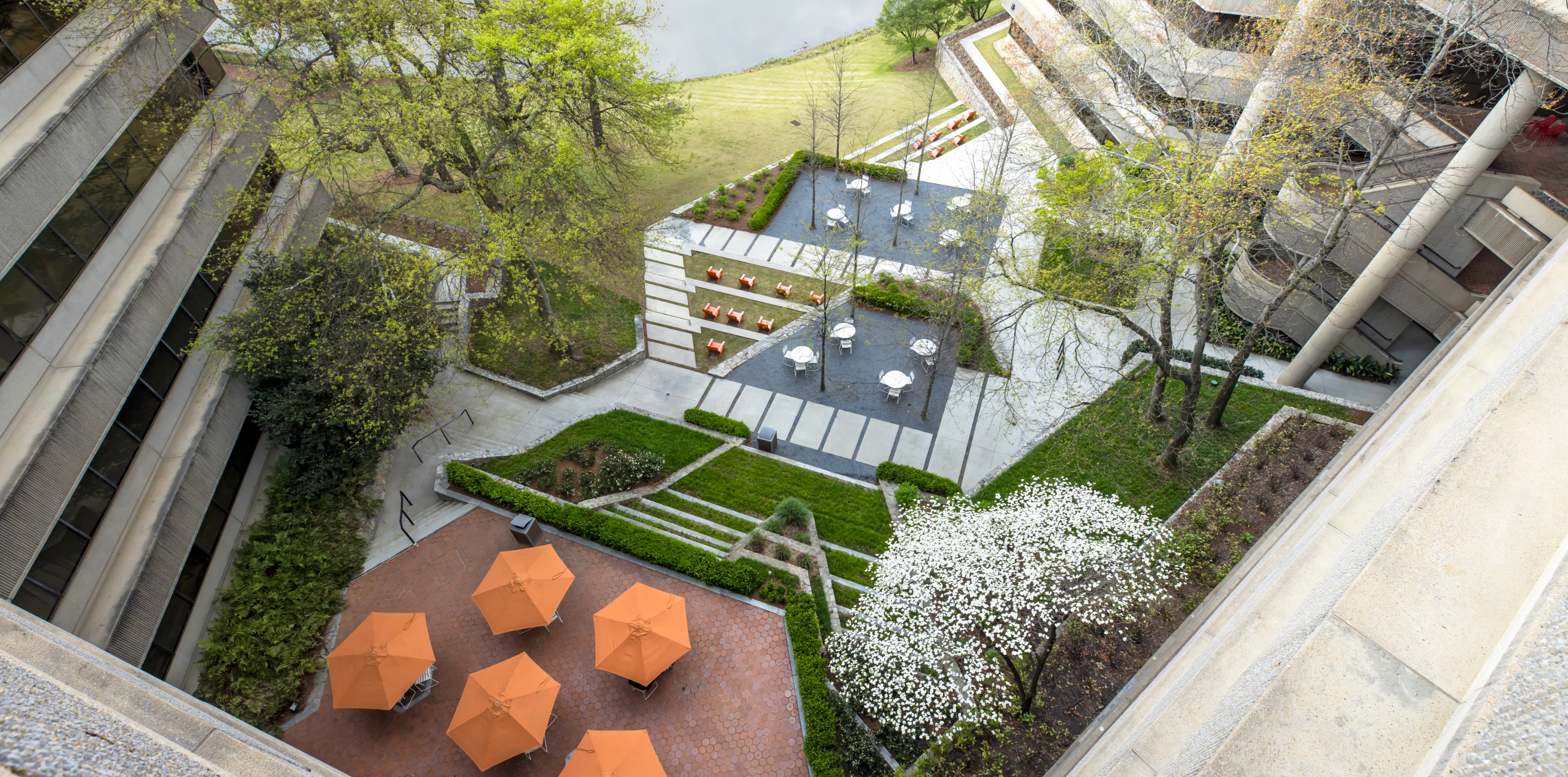 Overlooking the Palisades buildig courtyard